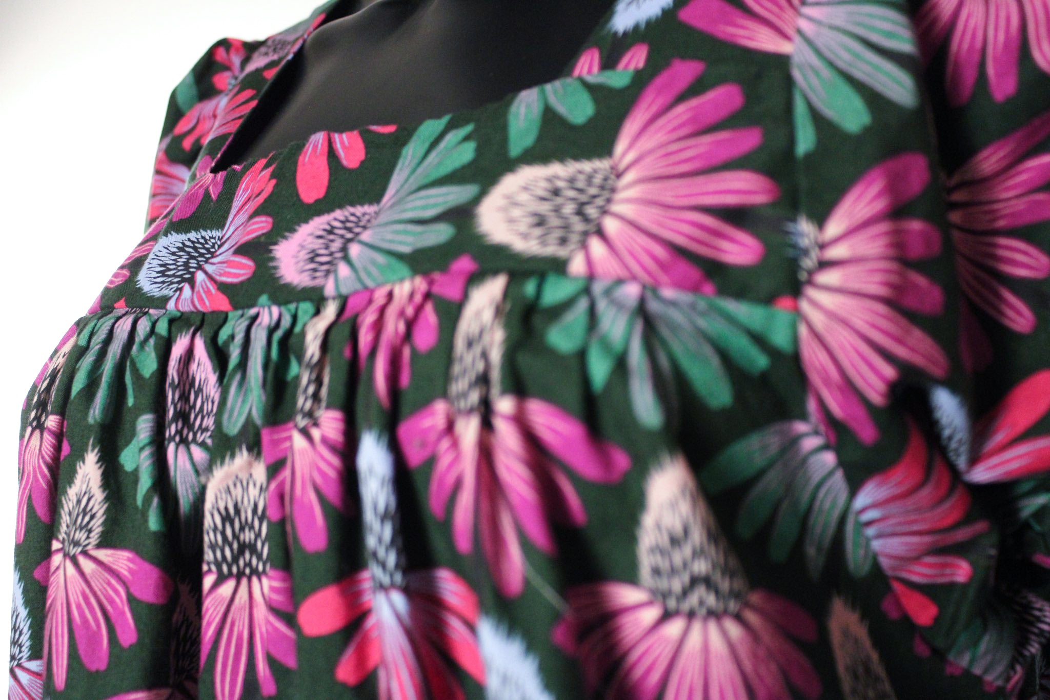 Echinacea Night Garden