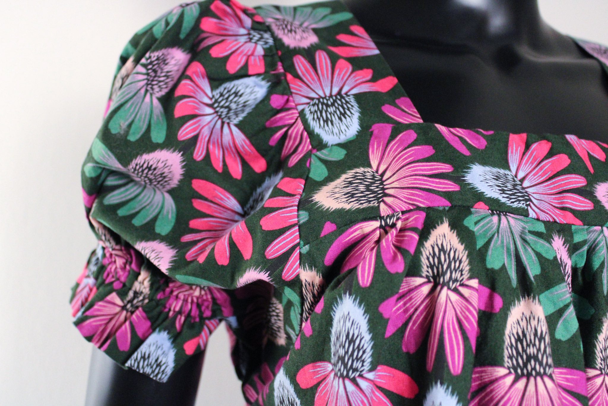 Echinacea Night Garden