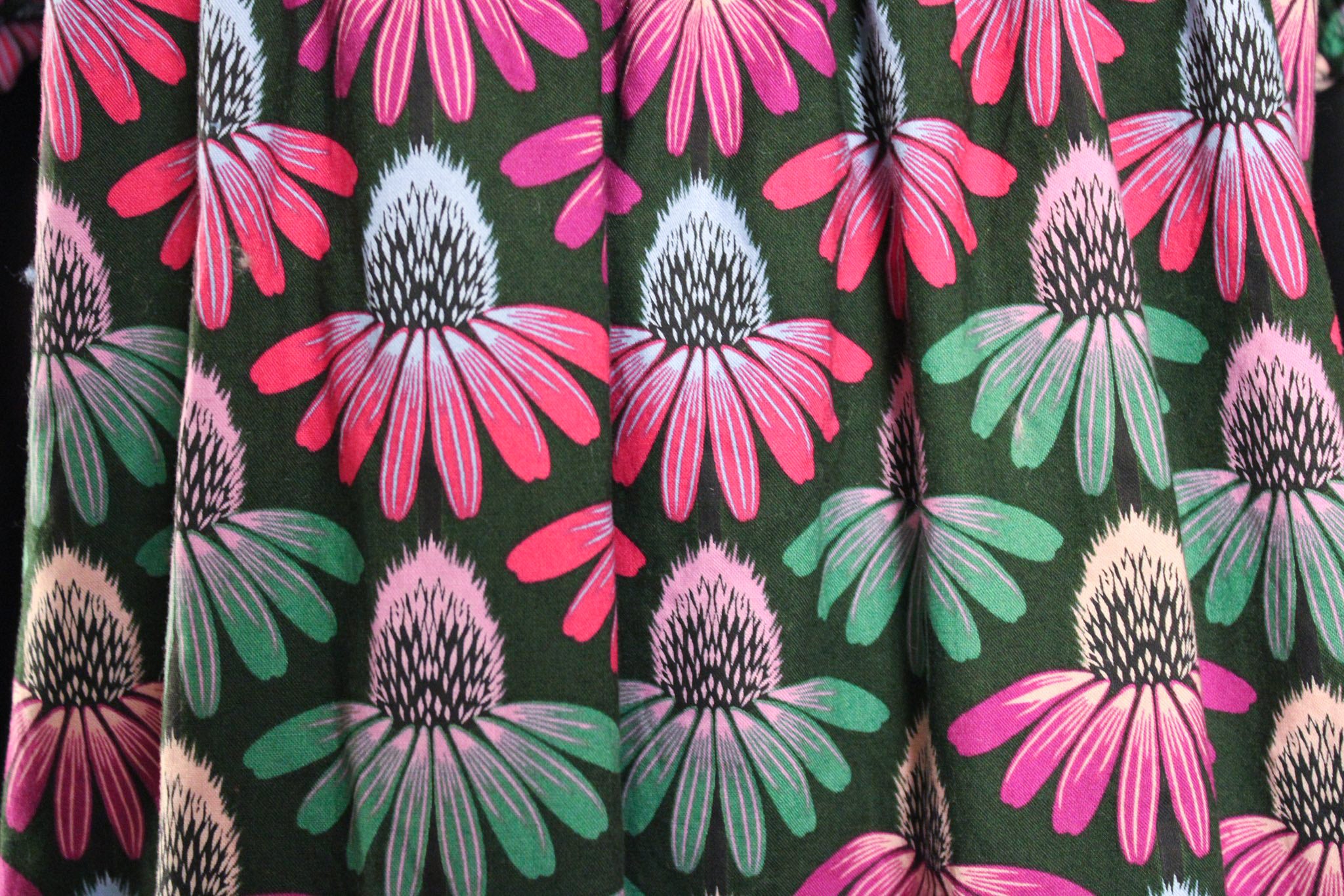 Echinacea Night Garden